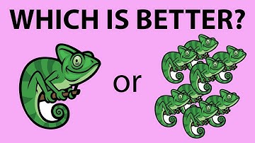 Can you have more than 1 chameleon?