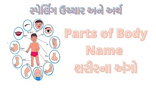 Body Parts in Name English and Gujarati with Spelling | શરીરના અંગોના નામ સ્પેલિંગ, ઉચ્ચાર અને અર્થ