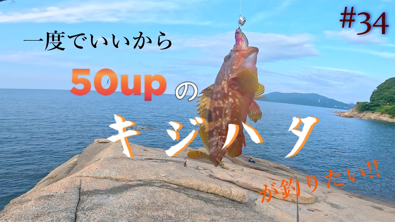 【無限ロックフィッシュと、夢の島 (徒歩3分) 】一度でいいから50upのキジハタが釣りたい!!#34【ロックフィッシュ】