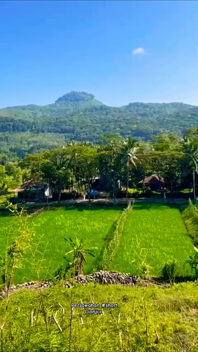 Bagja Jeung cinta