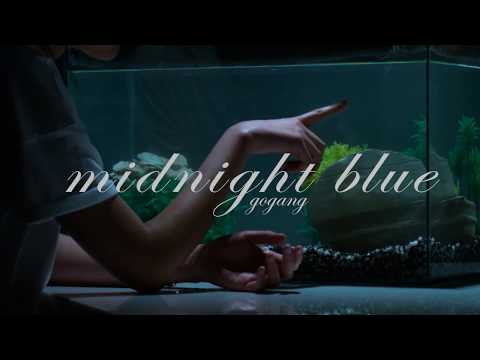 YouTube पर GoGang (고갱) - Midnight Blue (Official Video) देखें