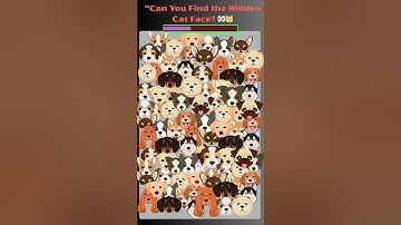 “Can You Find the Hidden Cat Face 👀🐱 Puzzle Challenge”  #brainteaser #sharpmind #games