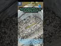 Pegmatite quartz throw out feldspar and mica#oresorting #sensorbasedsorting #quartz