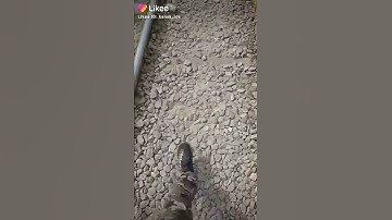 Zara zara bangla version