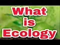 What is Ecology ।। In Hindi, very easy।। पड़ने वाले लोग देखे