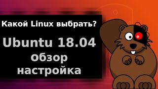 Ubuntu 18.04 обзор и настройка после установки Ubuntu 18.04 обзор и настройка после установки