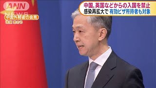 コロナ再拡大受け　英国などからの入国禁止に　中国(2020年11月6日)