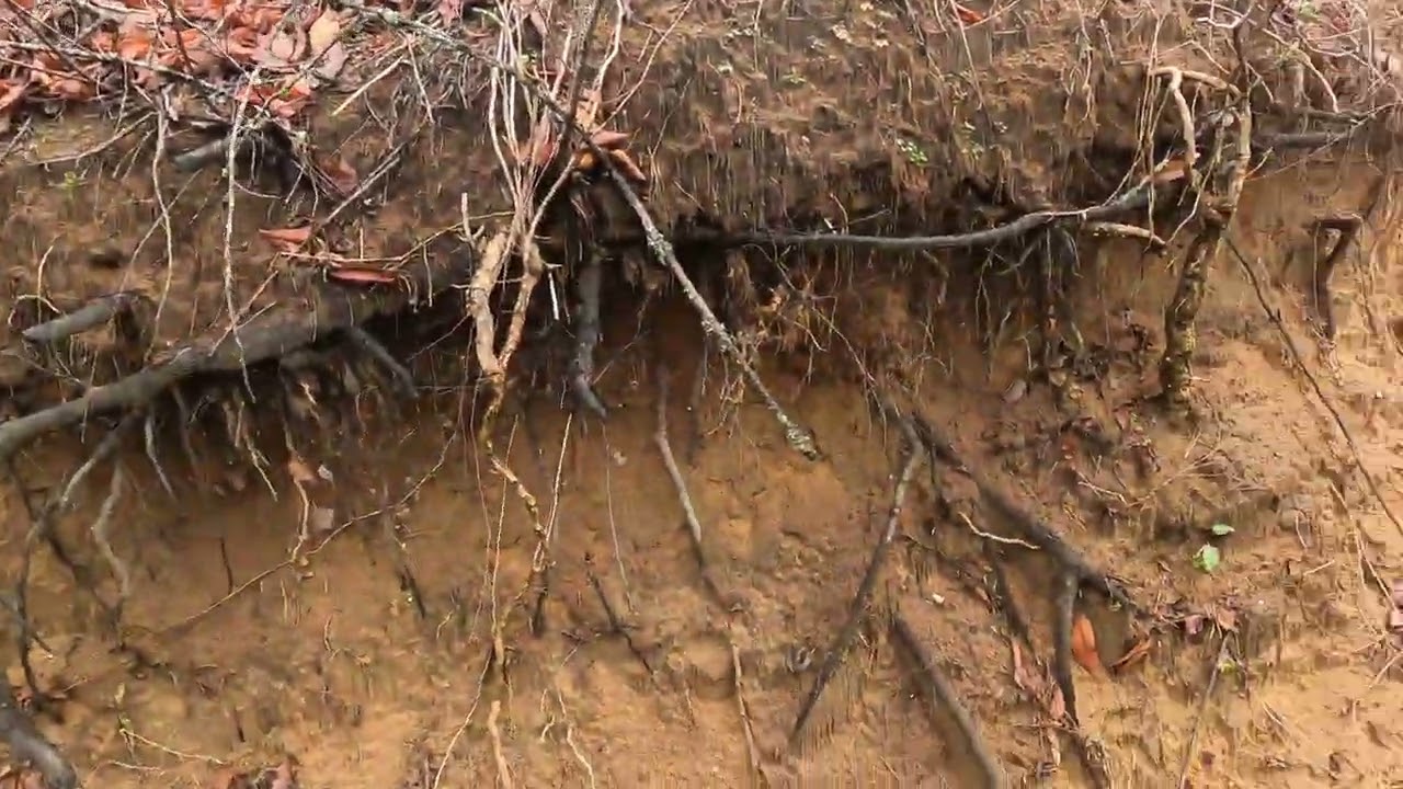 CLEARING TRENCHES AT CRYPTIC CITY 8 