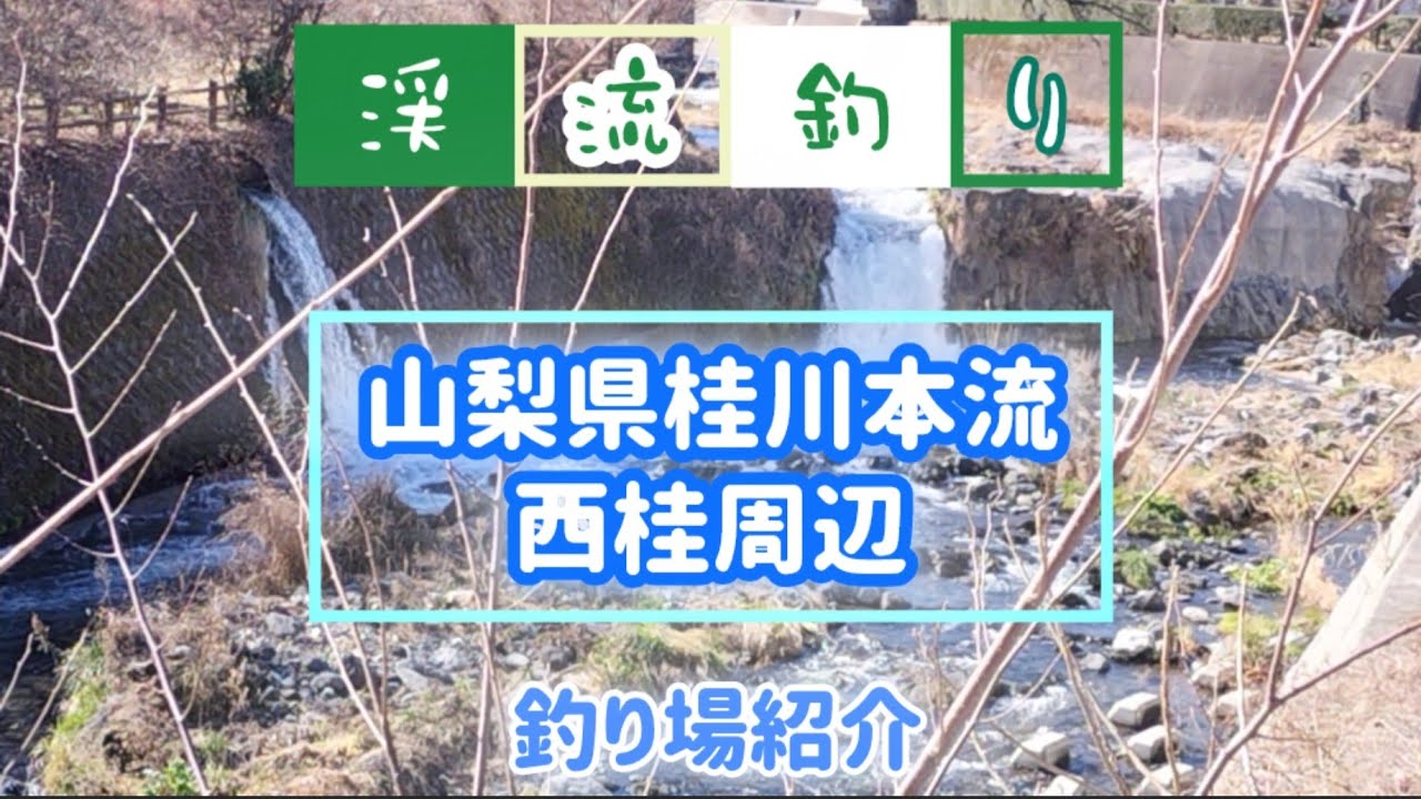 【山梨県桂川本流西桂周辺】🎣釣り場紹介