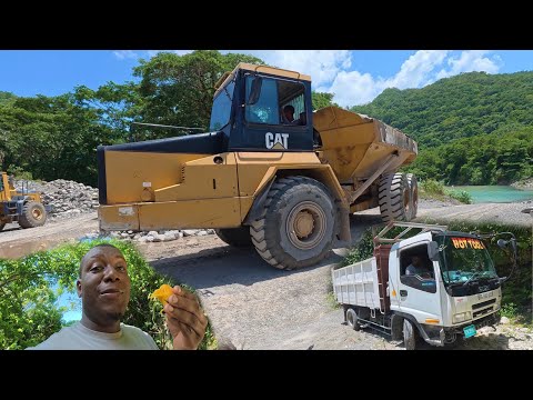 Truck Life: Grinding Hard & Eating Mangoes on the Road 🚛🔥