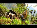 Traditional Village Life | Ate Corn, Carried Firewood &amp; Cooked Pork Curry@RURALNEPALDIARIES