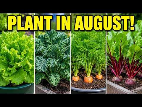 12 Vegetables You Should Plant in August Before It’s Too Late