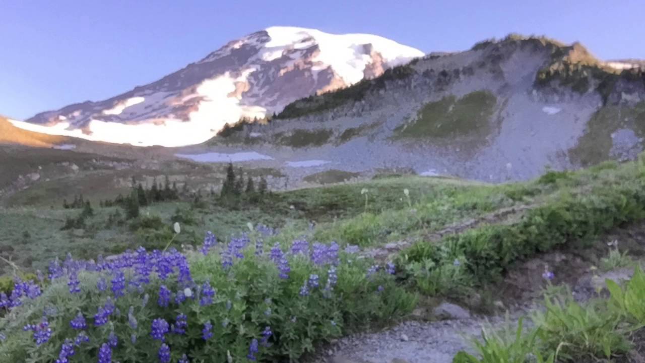 Mt. Rainier Hike from Paradise visitor center YouTube