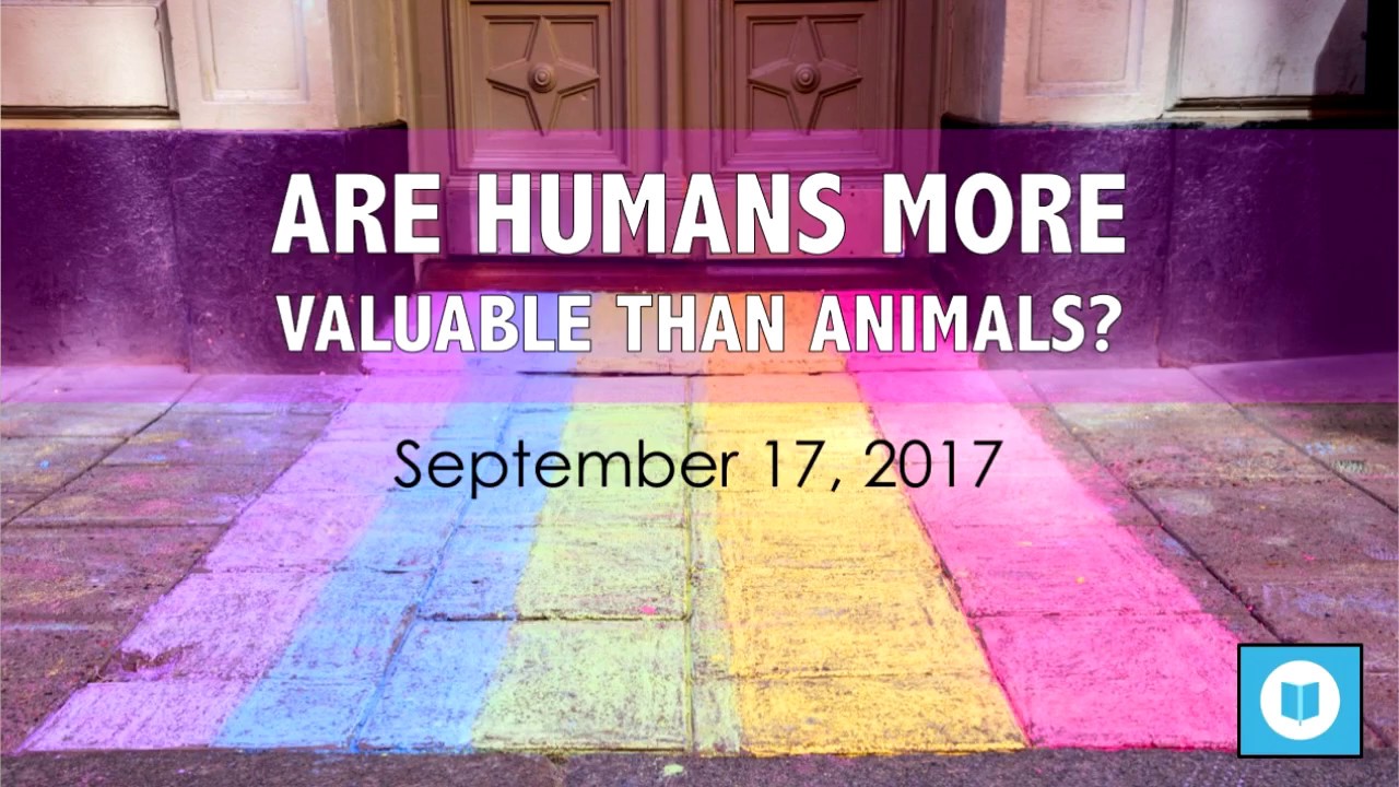 Are Humans More Valuable Than Animals? Foundations Bible Class YouTube