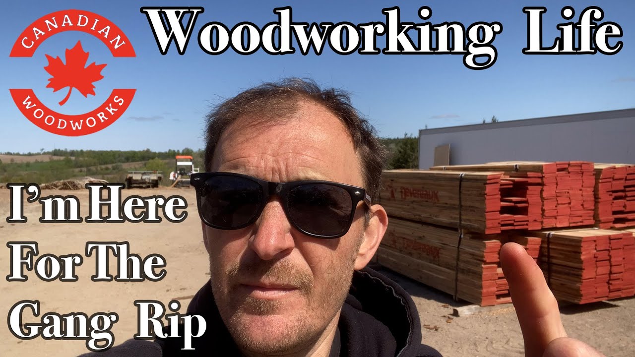 Woodworking Life - New Woodworking Machines Gang Rip Ogam PO-220 ...