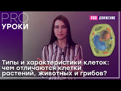 Типы и характеристики клеток: чем отличаются клетки растений, животных и грибов?