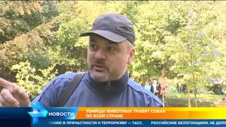 Догхантеры устроили массовую акцию убийства собак по всей стране Догхантеры устроили массовую акцию убийства собак по всей стране