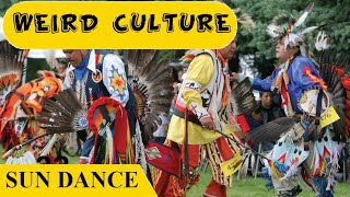 🌞 The Sun Dance: A Sacred Ritual of Pain, Prayer, and Renewal 🦅