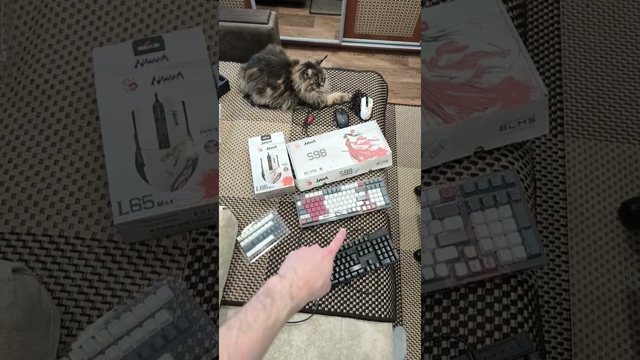 Клавиатура и мышь для компьютера (обновка). Спасибо огромное 