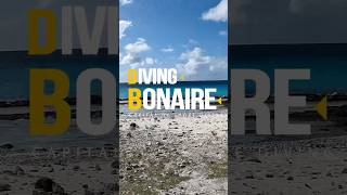 Diving Bonaire - The World Capital of Shore Diving #bonairediving  #scubadiving #underwateradventure