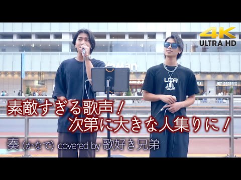 【 歌うま 】素敵すぎる歌声！次第に大きな人集りに！　奏 (かなで) / スキマスイッチ（ covered by 歌好き兄弟 ）高音質 4K映像