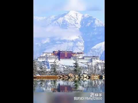 大海（粤语版） 罗杰文