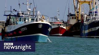 What will Brexit mean for different sectors and their EU workers? - BBC Newsnight