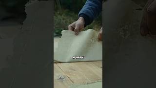 From Solid Bamboo to Flexible Paper : Ancient Process