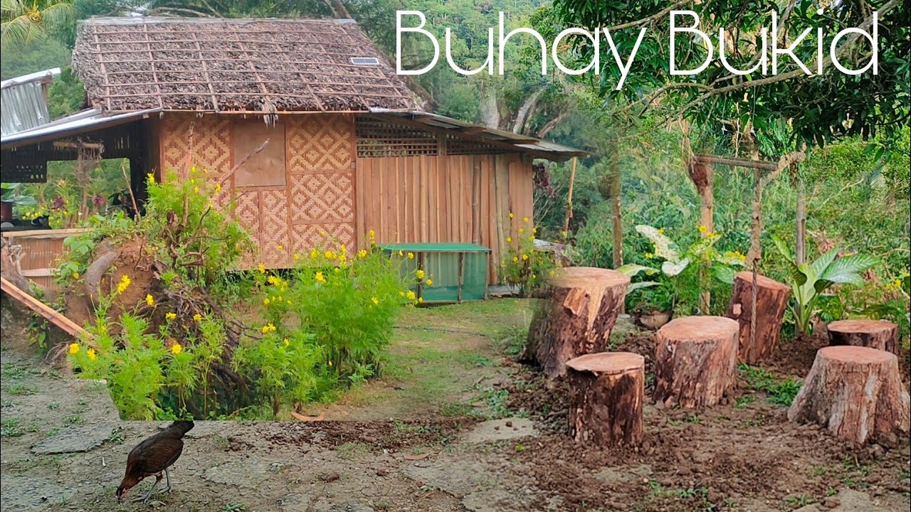 Simple Life in the Philippines | Philippine Countryside@AmigaCha - YouTube