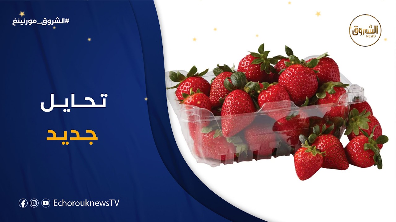الشروق مورنينغ| ظاهرة بيع الفراولة في العلب .. تحايل جديد على المواطن