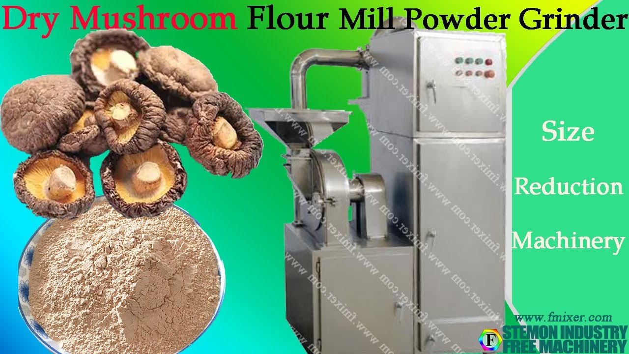 Hammer grinder machine milling dry mushroom herbs into powder with cyclone  and dust collector 