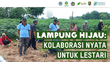 LAMPUNG HIJAU: KOLABORASI NYATA UNTUK LESTARI