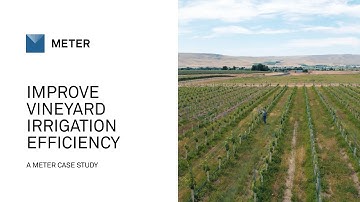 How connected sensors and weather data improve vineyard irrigation efficiency
