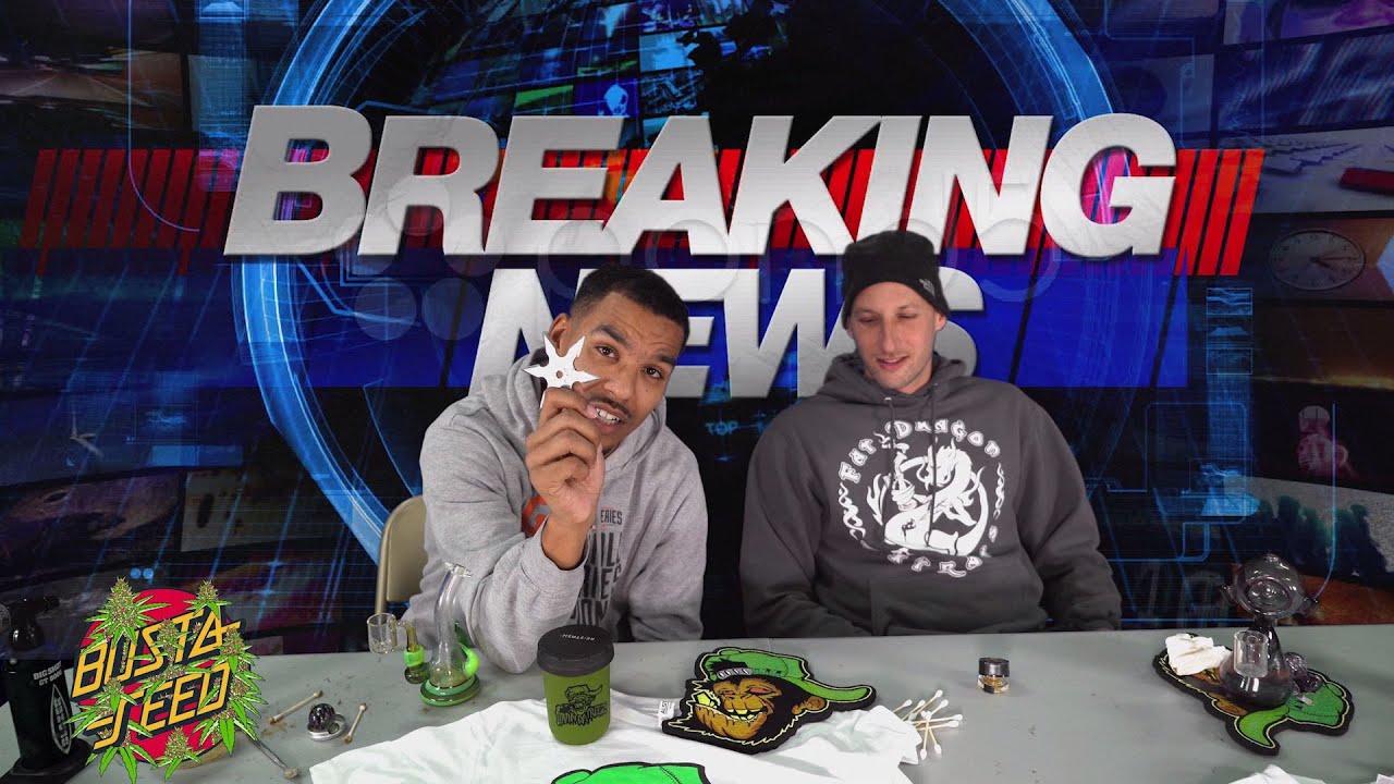 Breaking News from Bustaseedarms & Docta Grow !!!