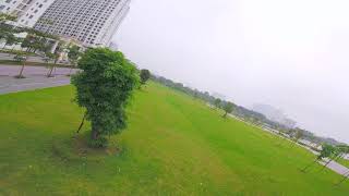 [Chameleon 220] Anbinh City - Training - reverse Power loop
