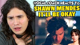 Vocal Coach Reacts to Shawn Mendes - It'll Be Okay (Studio vs Live)