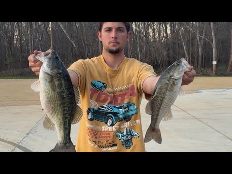 Alabama River bass fishing