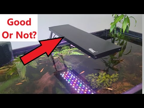 Hygger Clip On Aquarium Led Light Review. Good for Growing Plants?