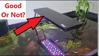 Hygger Clip On Aquarium Led Light Review. Good for Growing Plants