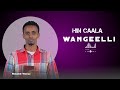 Hin CAALA Wangeelli Masarat Worku Faarfanna Afaan Oromoo Haara 2026 