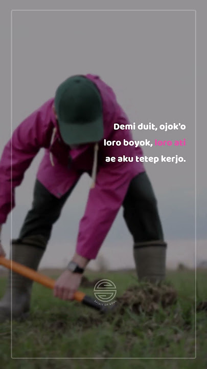 Story WA - Demi Duit, Ojok'o Loro Boyok, Loro Ati Ae Aku Tetep Kerjo