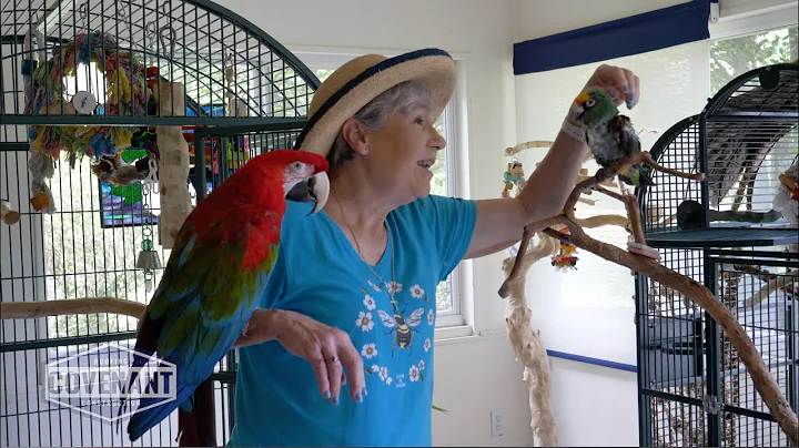 Our adaptability was the Promise for Janice Hamilton