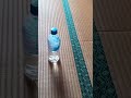 Prima bottle flip in giappone #giappone #vlog #bottleflip #challenge