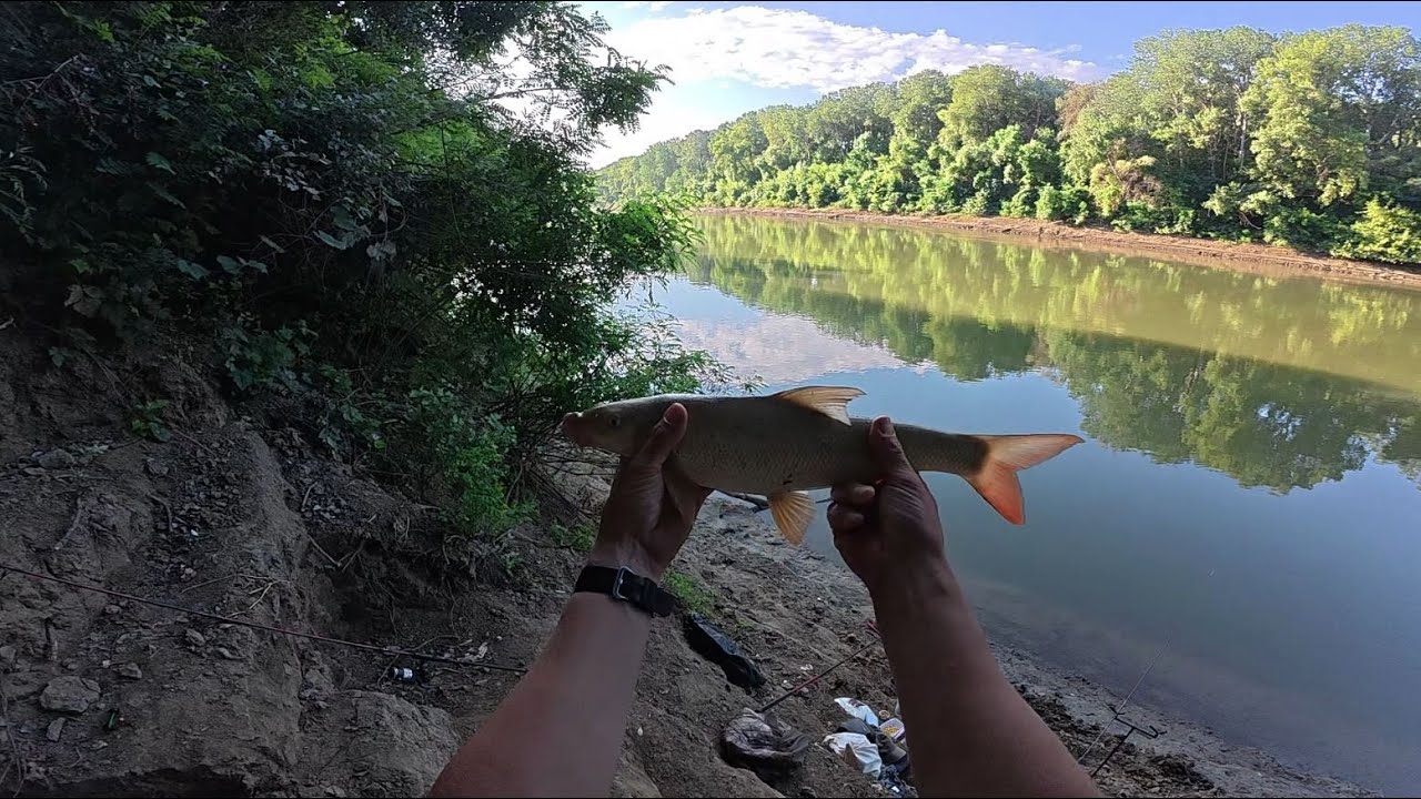 MÁRNA - BUSA - KESZEG - Horgászat a Tiszán.