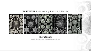 Microfossils, Video 5 - EART27201 - Sedimentary Rocks and Fossils