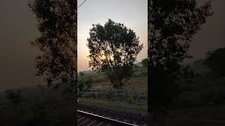 jara is jagha Ko dekha leejie dur daraj hai 🌲🌴🎋🌳 jangl