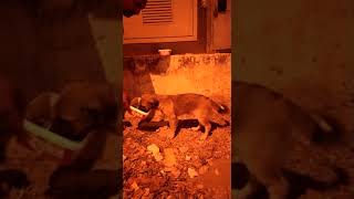 Fb40D25D 2A47 4Aa3 9Fcf D872Ed1380Ec Kleiner Neur