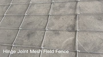 Hinge Joint Mesh Field Fence