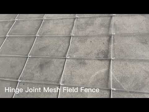 Hinge Joint Mesh