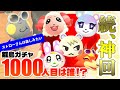 【あつ森】離島ガチャ1000人目がヤバすぎた…新スター誕生！【住民厳選】